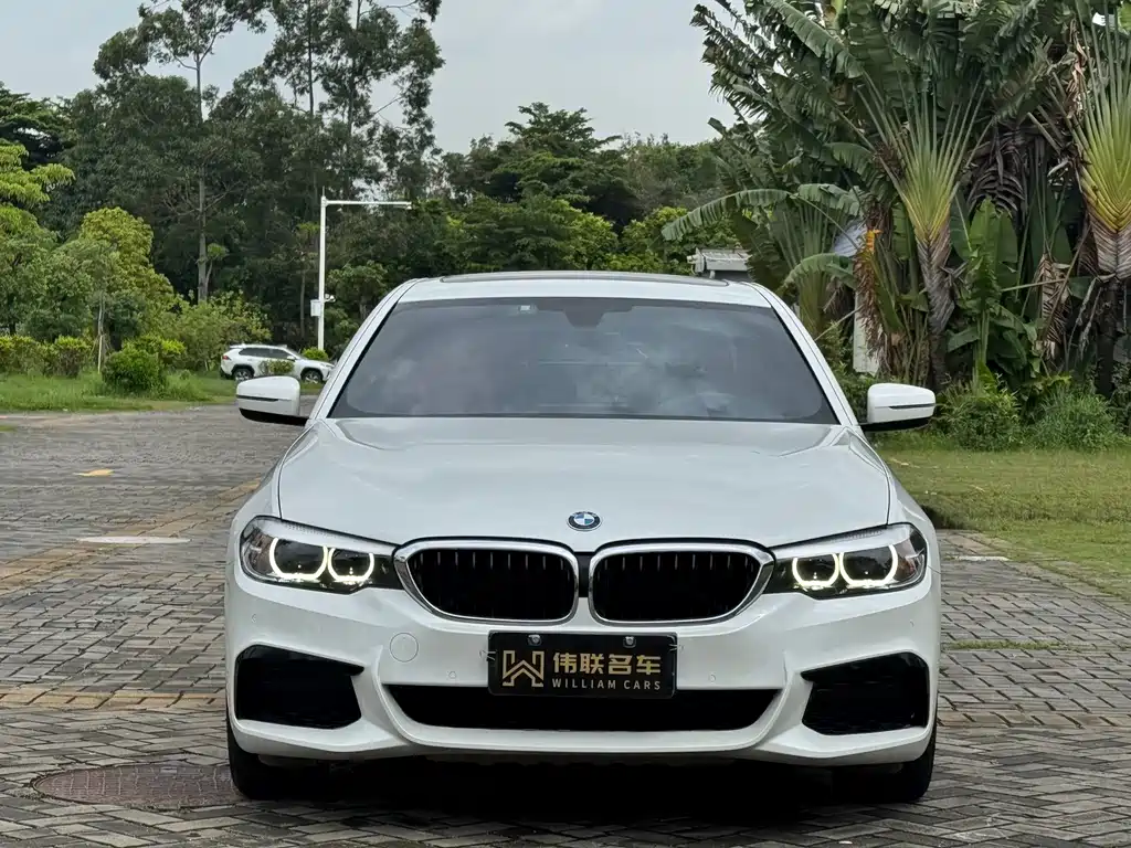 BMW 5 Series 2019 Facelift 530Li Leading Edition M Sport Package