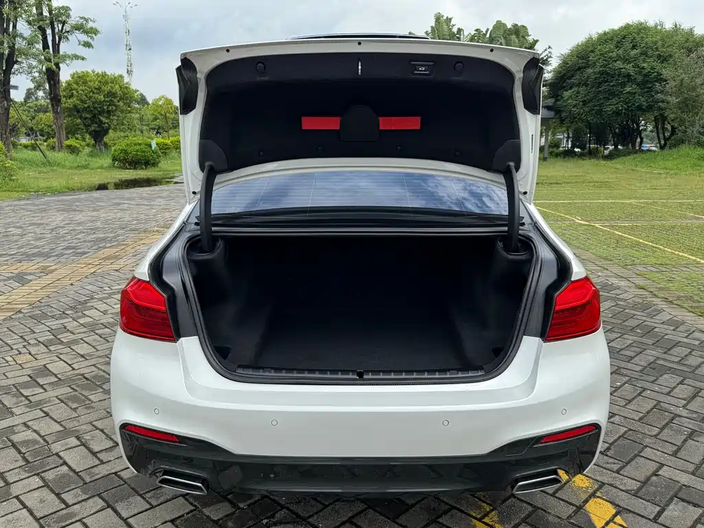 BMW 5 Series 2019 Facelift 530Li Leading Edition M Sport Package