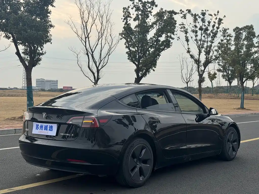 Tesla Model 3 2022 Rear-Wheel Drive