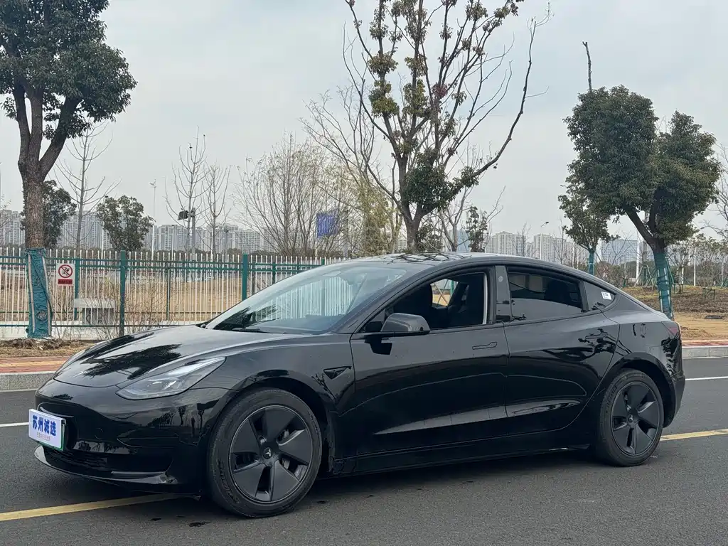 Tesla Model 3 2022 Rear-Wheel Drive