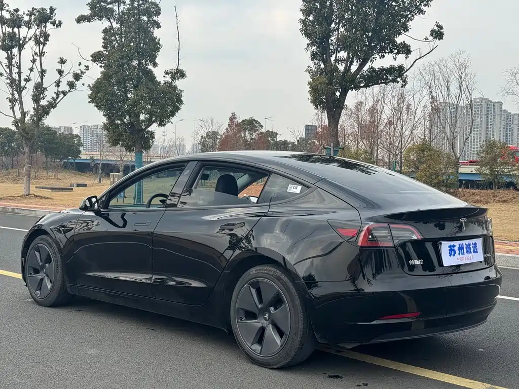 Tesla Model 3 2022 Rear-Wheel Drive