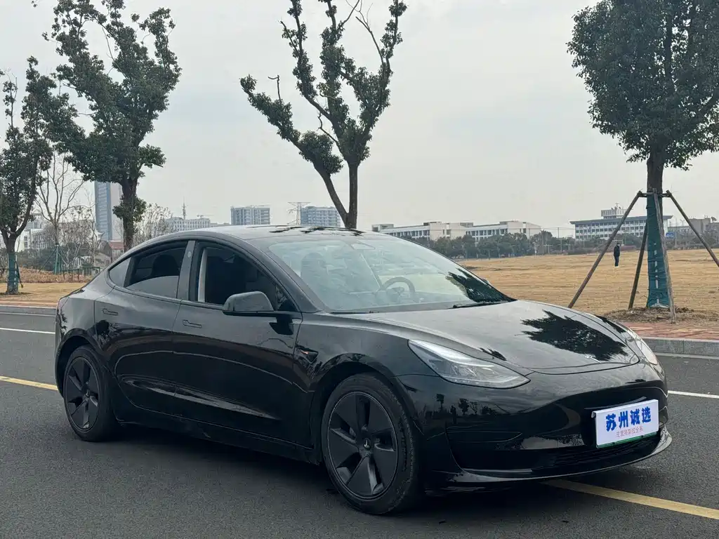 Tesla Model 3 2022 Rear-Wheel Drive