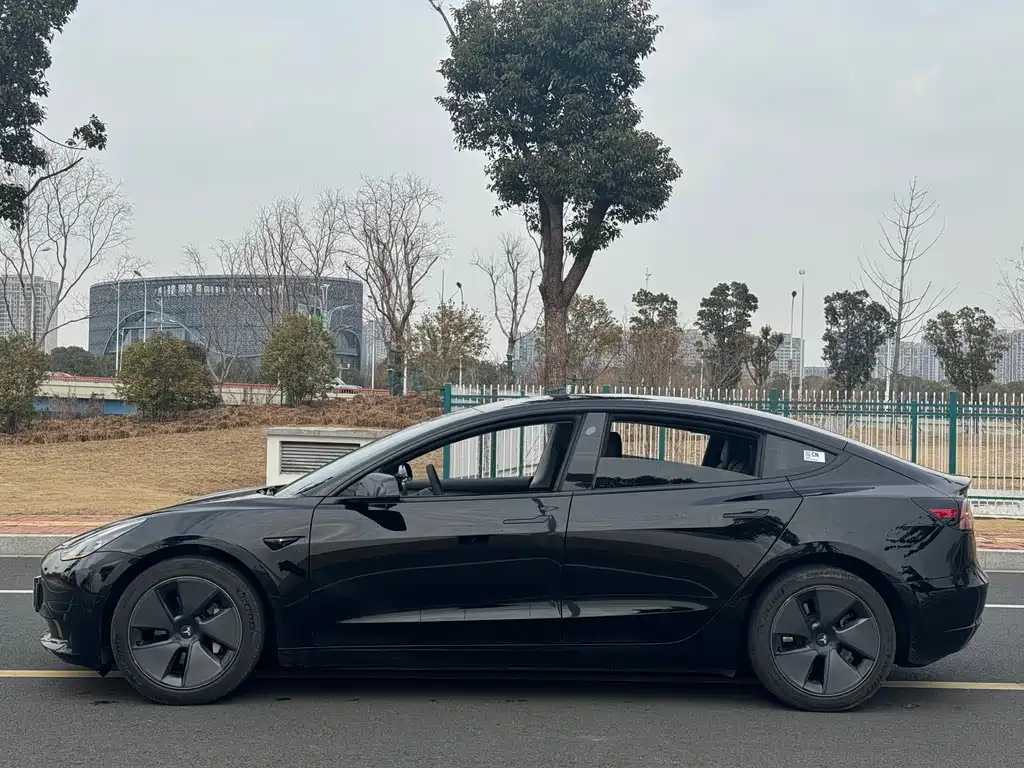 Tesla Model 3 2022 Rear-Wheel Drive