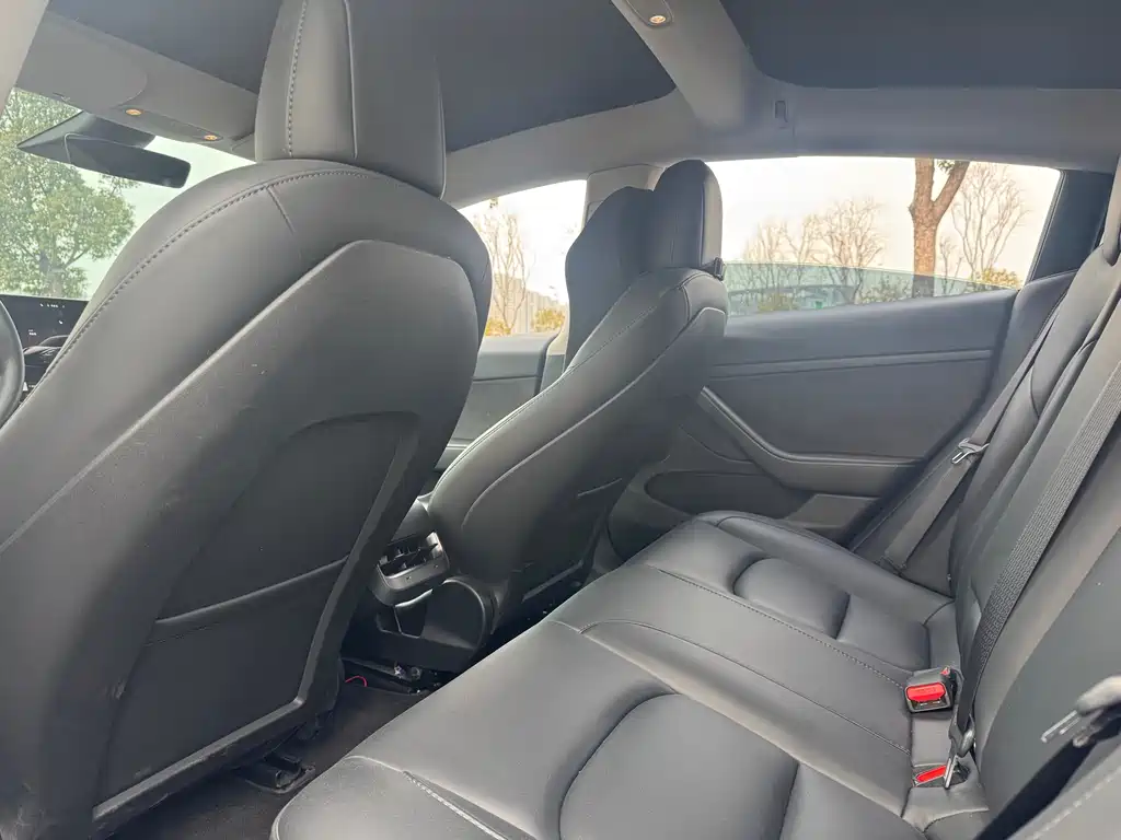 Tesla Model 3 2022 Rear-Wheel Drive