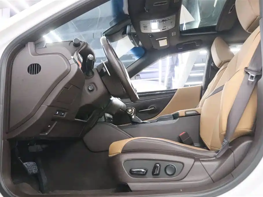2018 Lexus ES 200 Excellence Edition China V