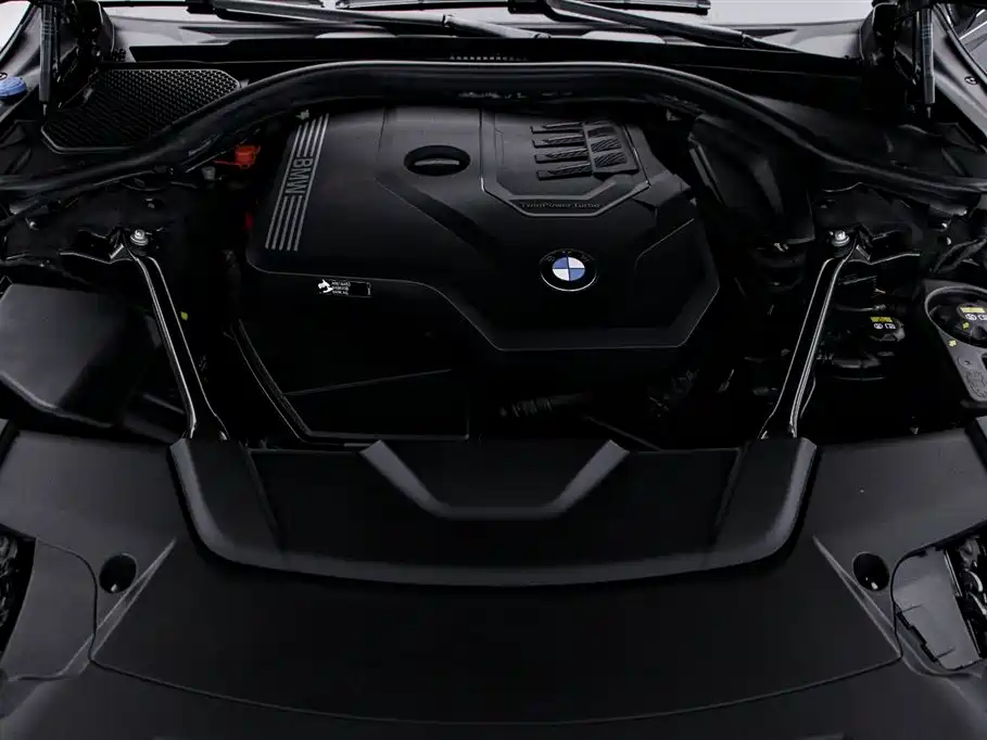 BMW 7 Series 2019 730Li Luxury Package - фото 17