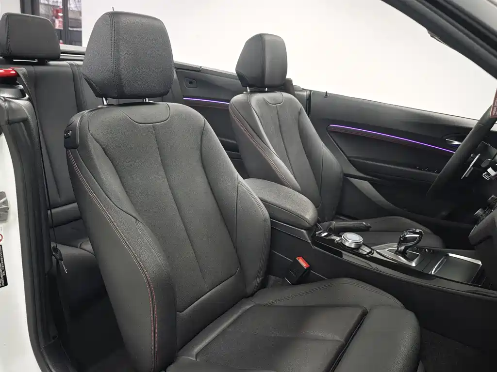 BMW 2 Series Convertible 2019 225i M Sport Package