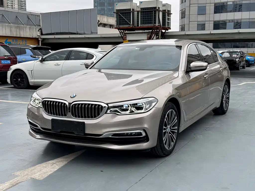 BMW 5 Series 2019 530Li Exclusive Edition Luxury Package