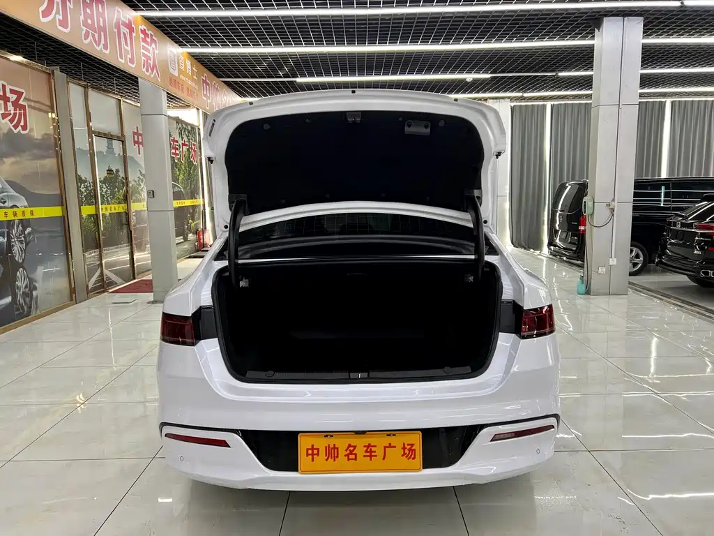 BYD Qin PLUS DM-i 2024 Honor Edition 55KM Leading Type