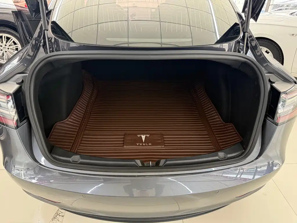Tesla Model 3 2019 Standard Range Plus Rear-Wheel Drive