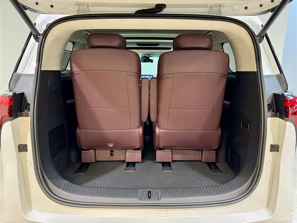 Buick Century 2023 2.0T 6-Seater Yunshi Edition