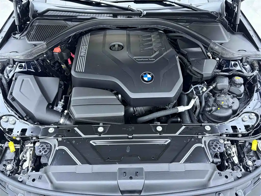 BMW 3 Series 2021 320Li M Sport Package - фото 10
