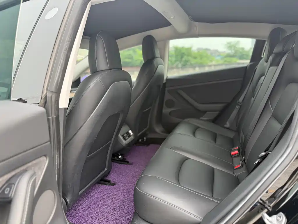 Tesla Model 3 2021 Standard Range Plus RWD