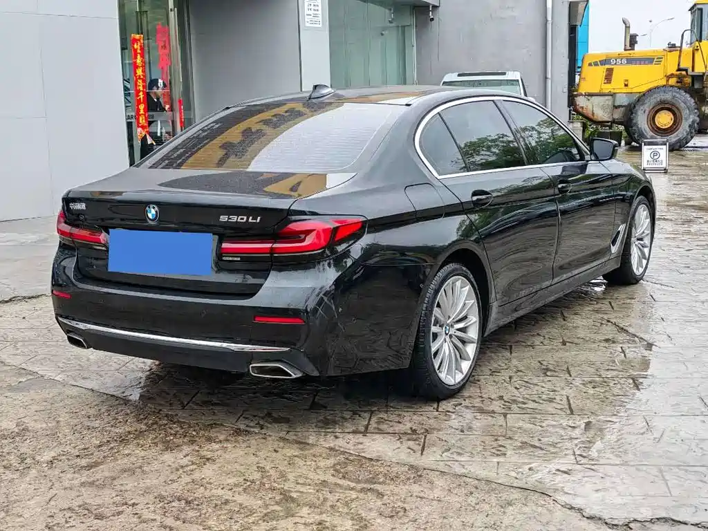 BMW 5 Series 2021 530Li Executive Luxury Edition - фото 9