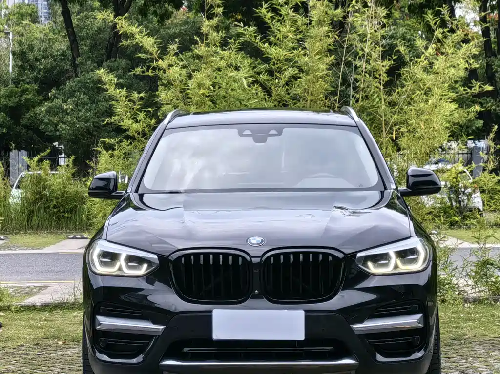 BMW X3 2020 xDrive28i Luxury Package - фото 2