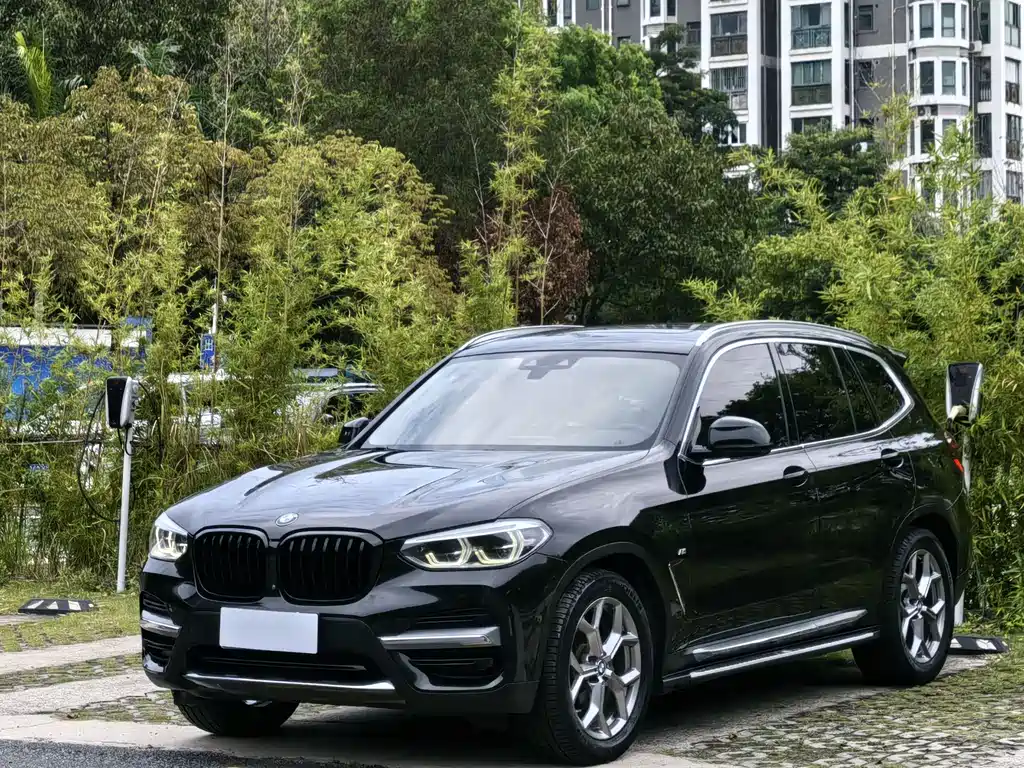 BMW X3 2020 xDrive28i Luxury Package - фото 23