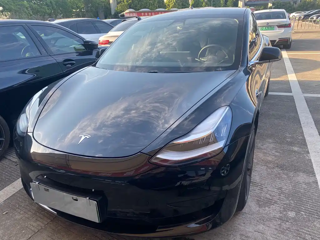 Tesla Model 3 2019 Standard Range Plus RWD