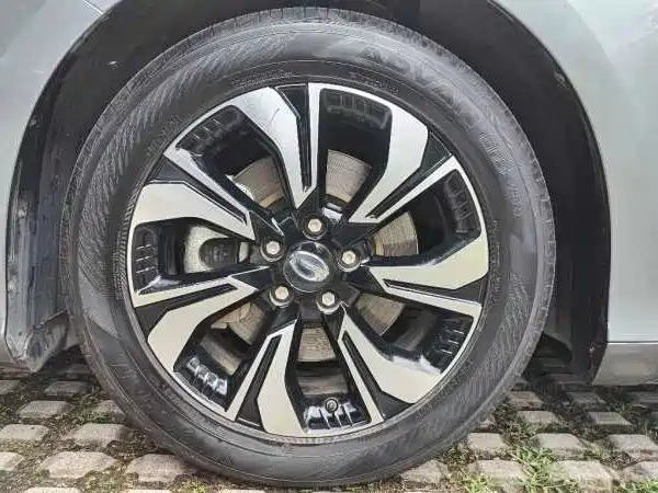 AION S 2019 Mei Evo 530