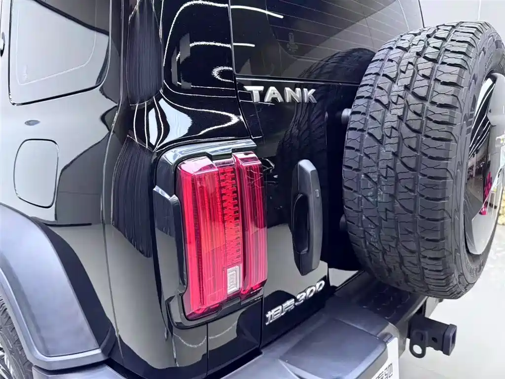 TANK 300 2024 2.0T Conqueror