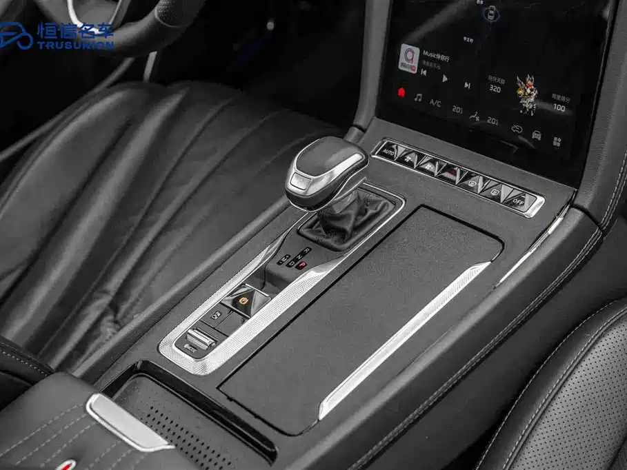 Hongqi H5 2024 2.0T Automatic ZhiLian QiChang Edition