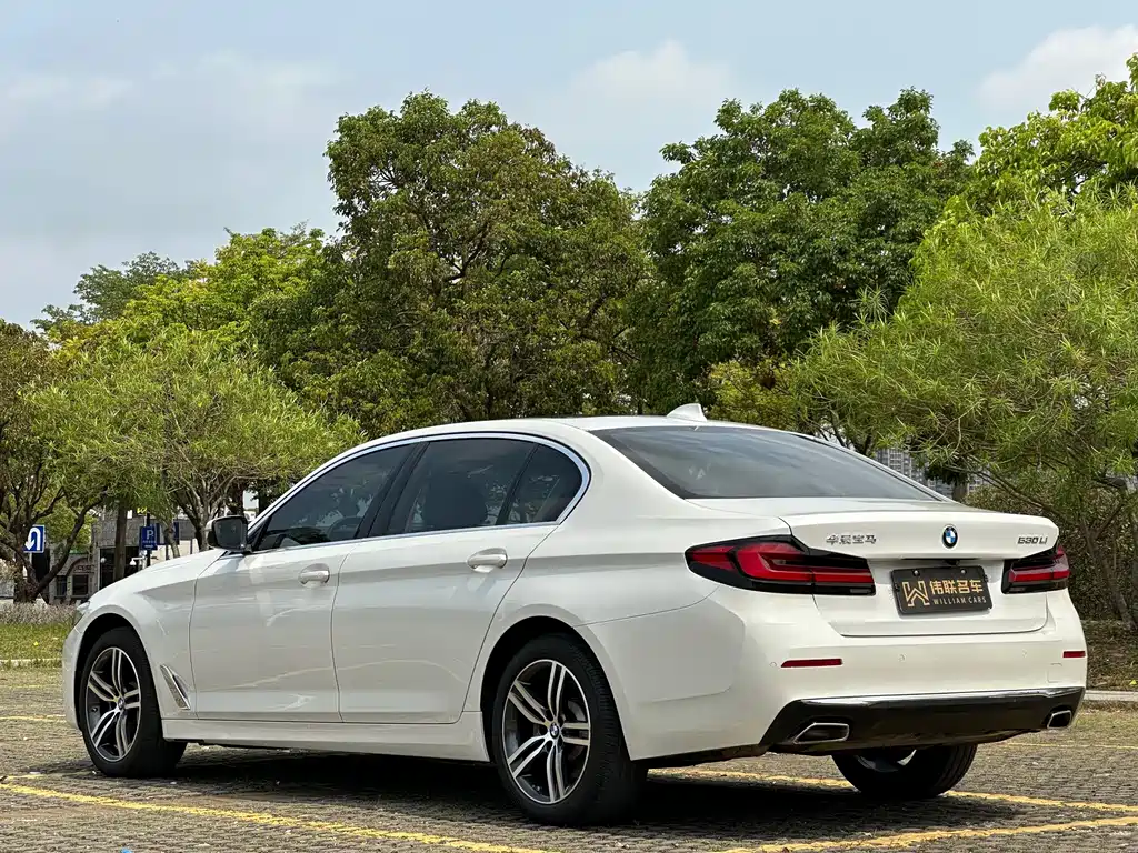 BMW 5 Series 2021 530Li Leading Edition Luxury Package - фото 4