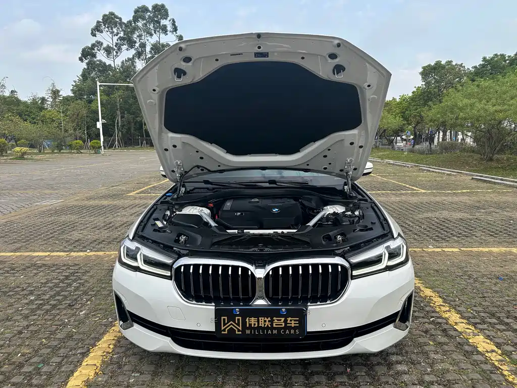 BMW 5 Series 2021 530Li Leading Edition Luxury Package - фото 16