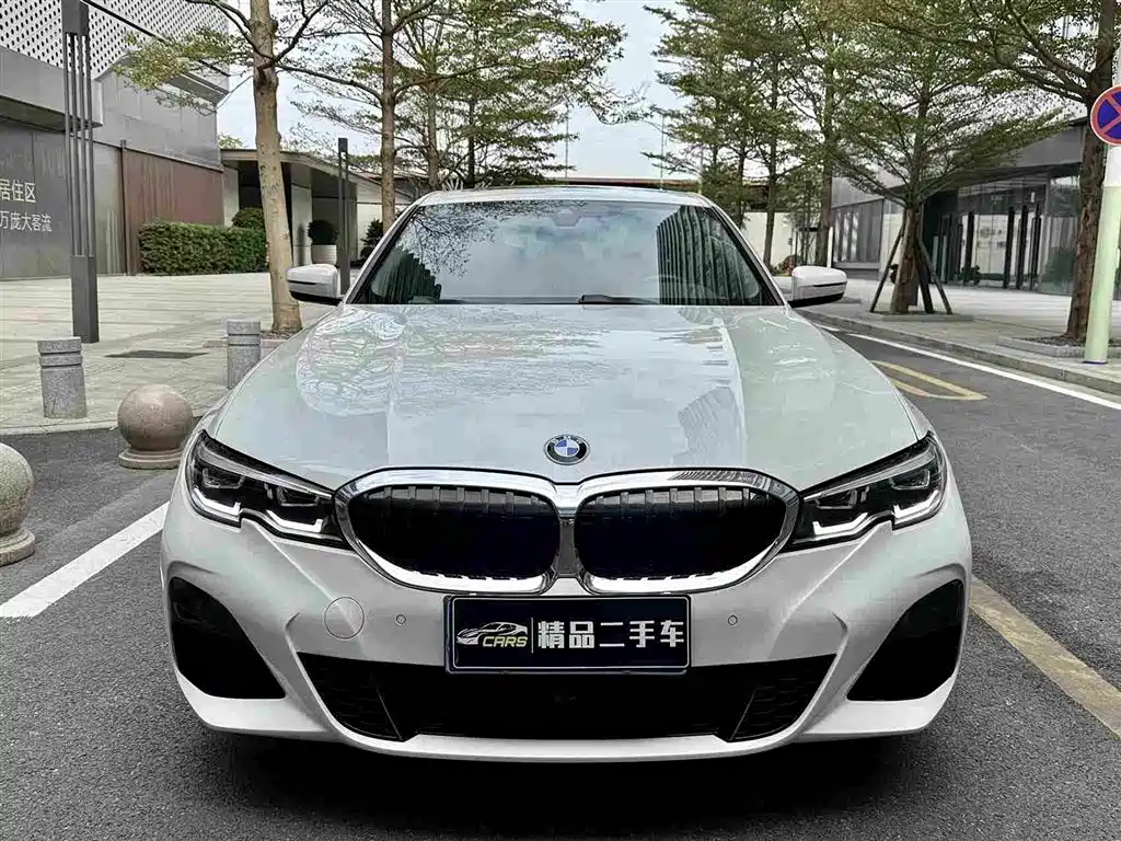 BMW 3 Series 2020 325Li M Sport Package - фото 2