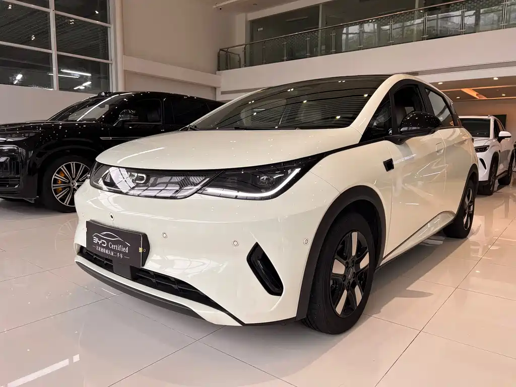 BYD Dolphin 2025 Intelligent Driving Edition 410km Fashion Edition