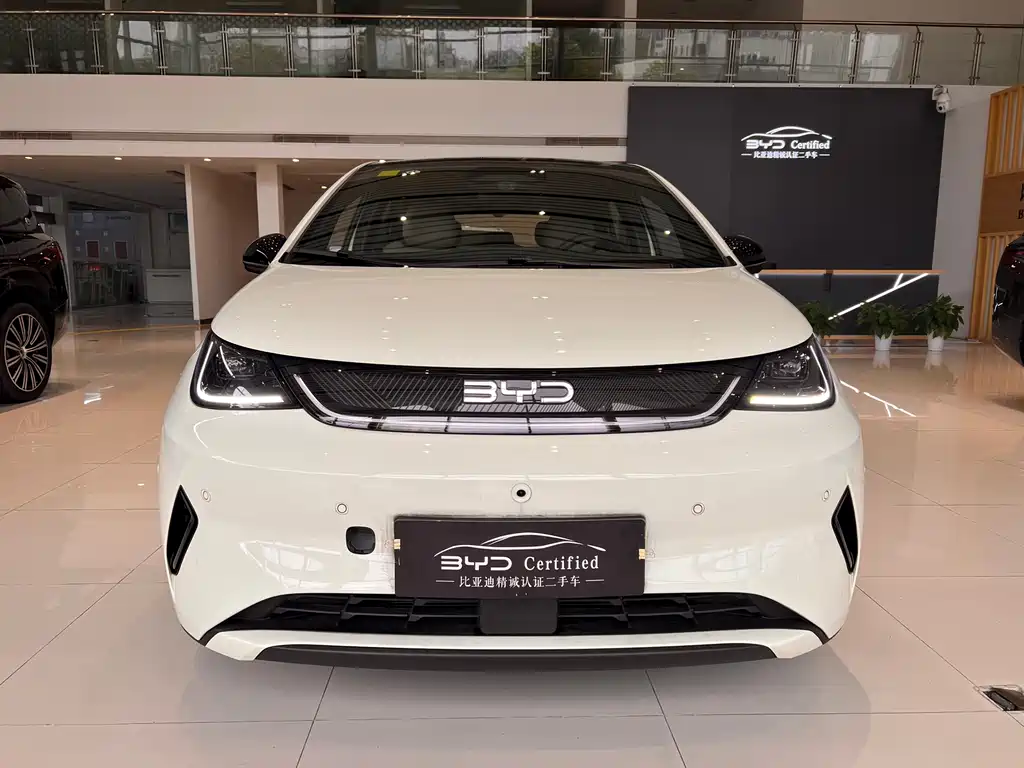 BYD Dolphin 2025 Intelligent Driving Edition 410km Fashion Edition