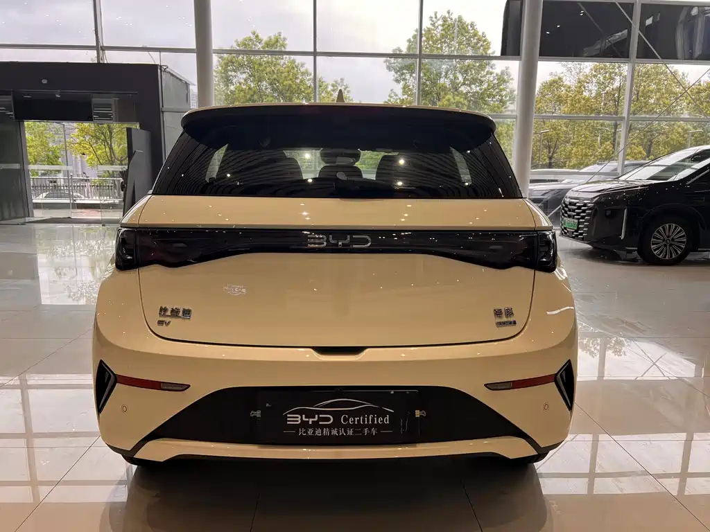 BYD Dolphin 2025 Intelligent Driving Edition 410km Fashion Edition