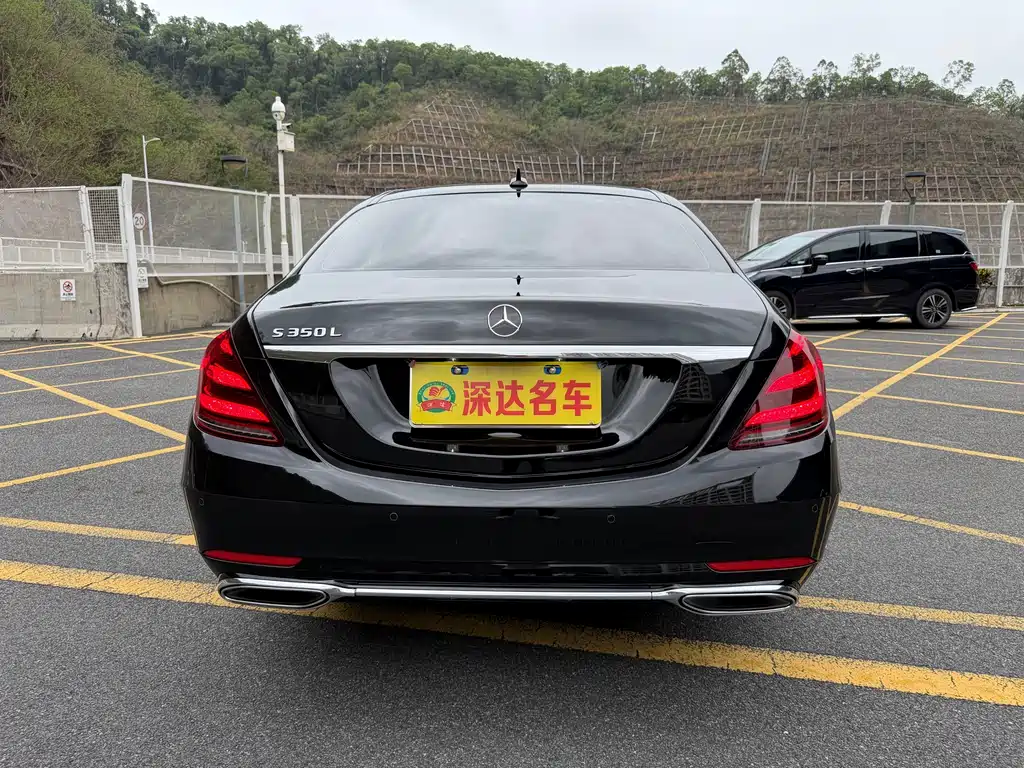 Mercedes-Benz S-Class 2020 S 350 L Business Edition Zhenzang Edition