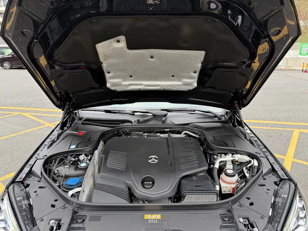 Mercedes-Benz S-Class 2020 S 350 L Business Edition Zhenzang Edition