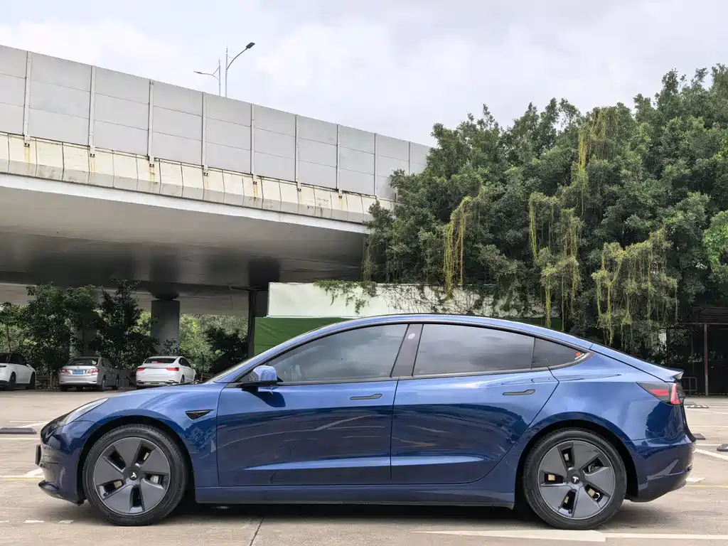 Tesla Model 3 2021 Standard Range Plus RWD