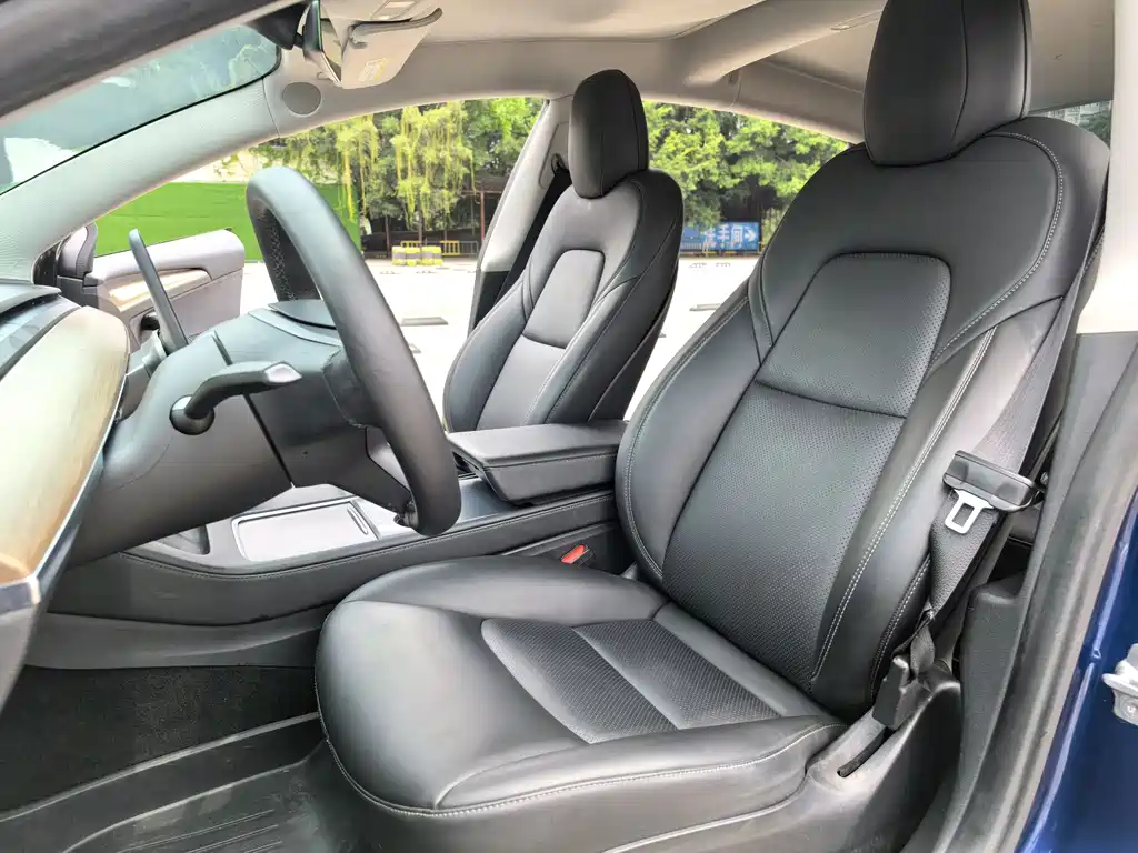 Tesla Model 3 2021 Standard Range Plus RWD