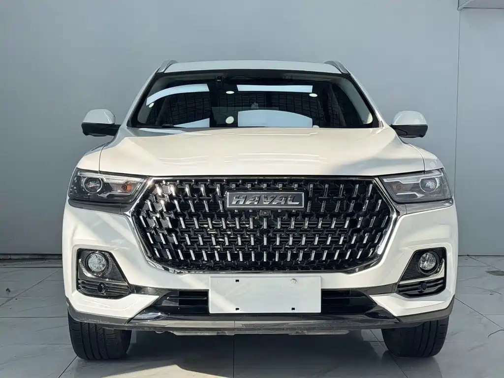 Haval H6 2023 Guochao Edition 1.5T Auto Champion Edition