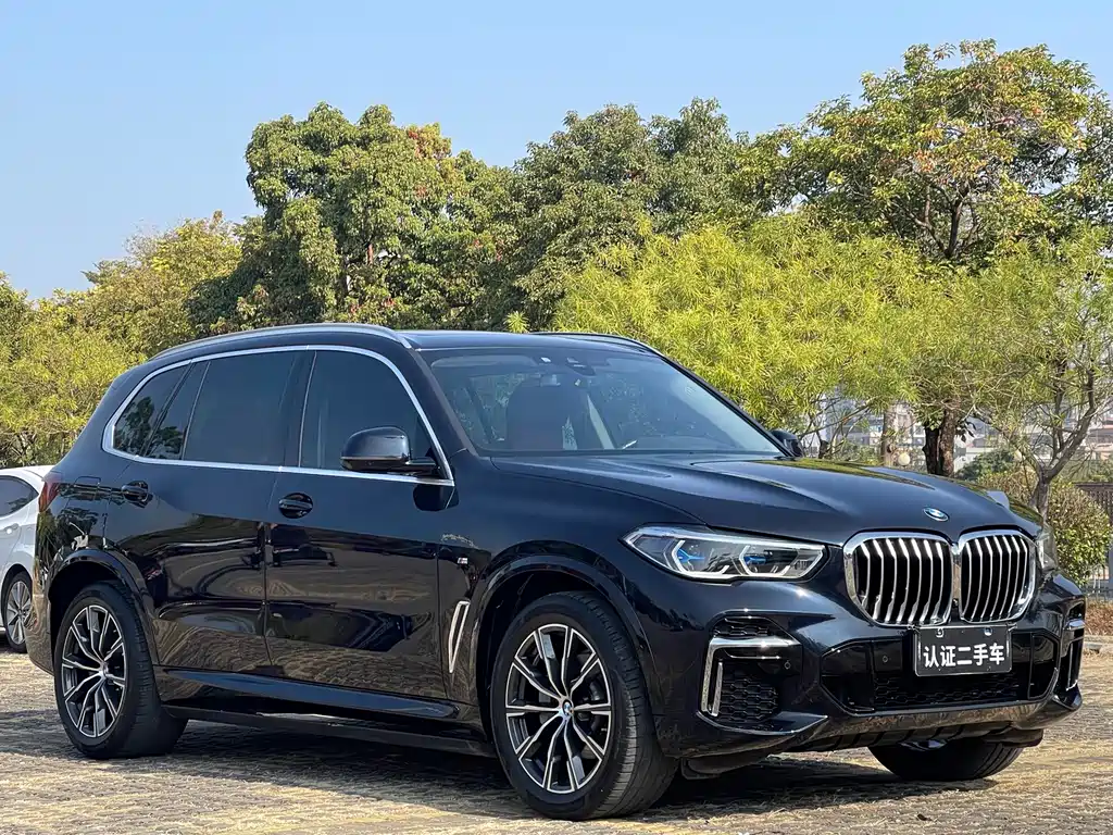 BMW X5 2022 xDrive 30Li M Sport Package - фото 3