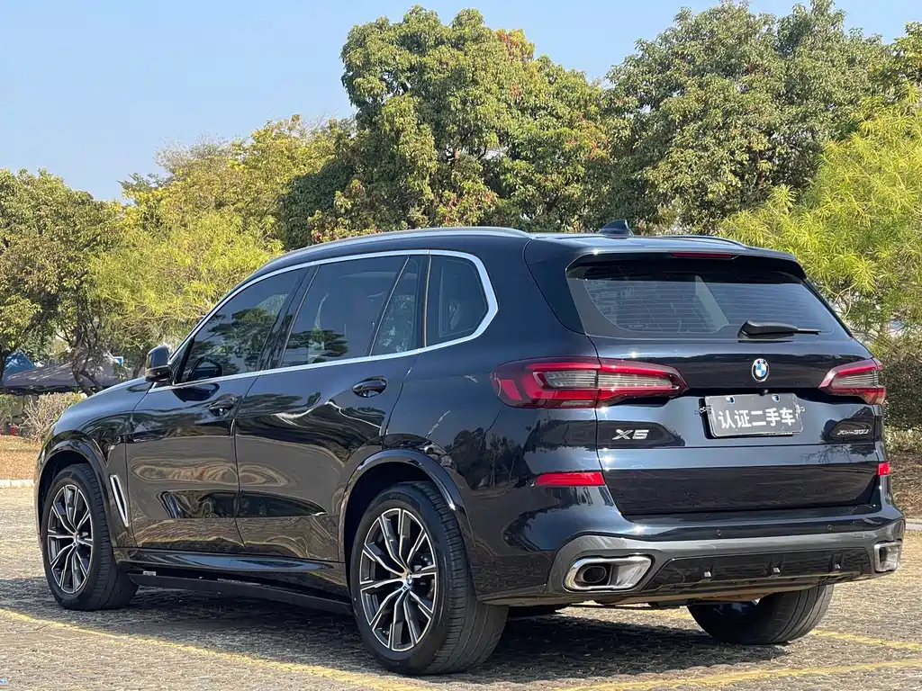 BMW X5 2022 xDrive 30Li M Sport Package - фото 6