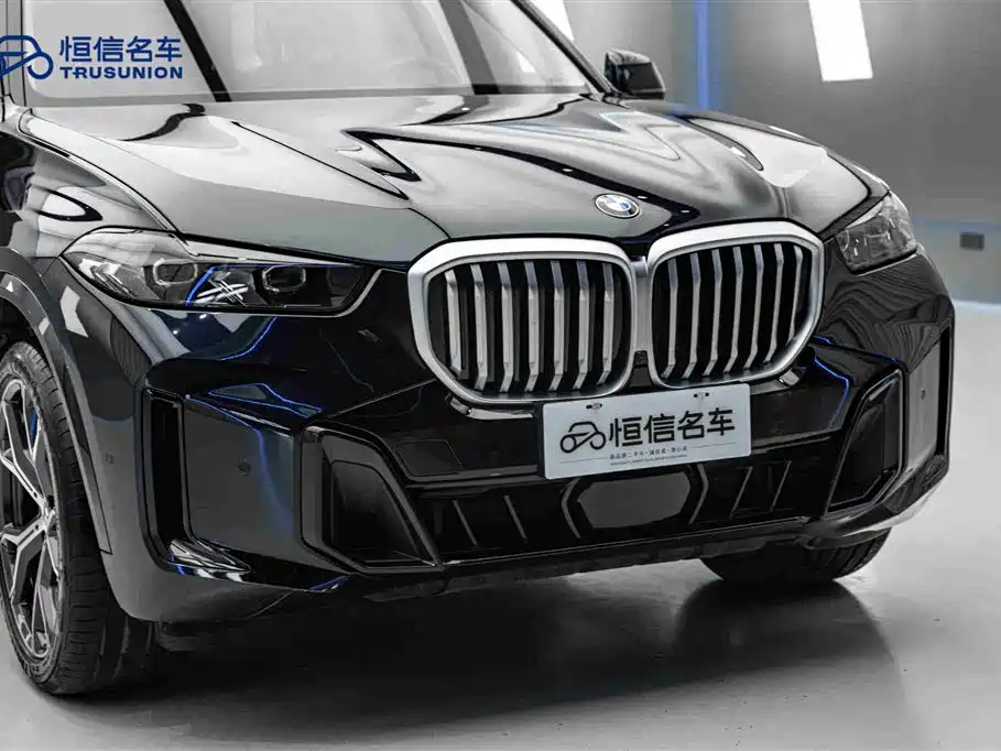 BMW X5 2023 xDrive 30Li Exclusive M Sport Night Edition - фото 9