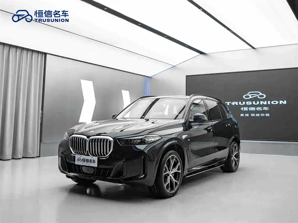 BMW X5 2023 xDrive 30Li Exclusive M Sport Night Edition - фото 3