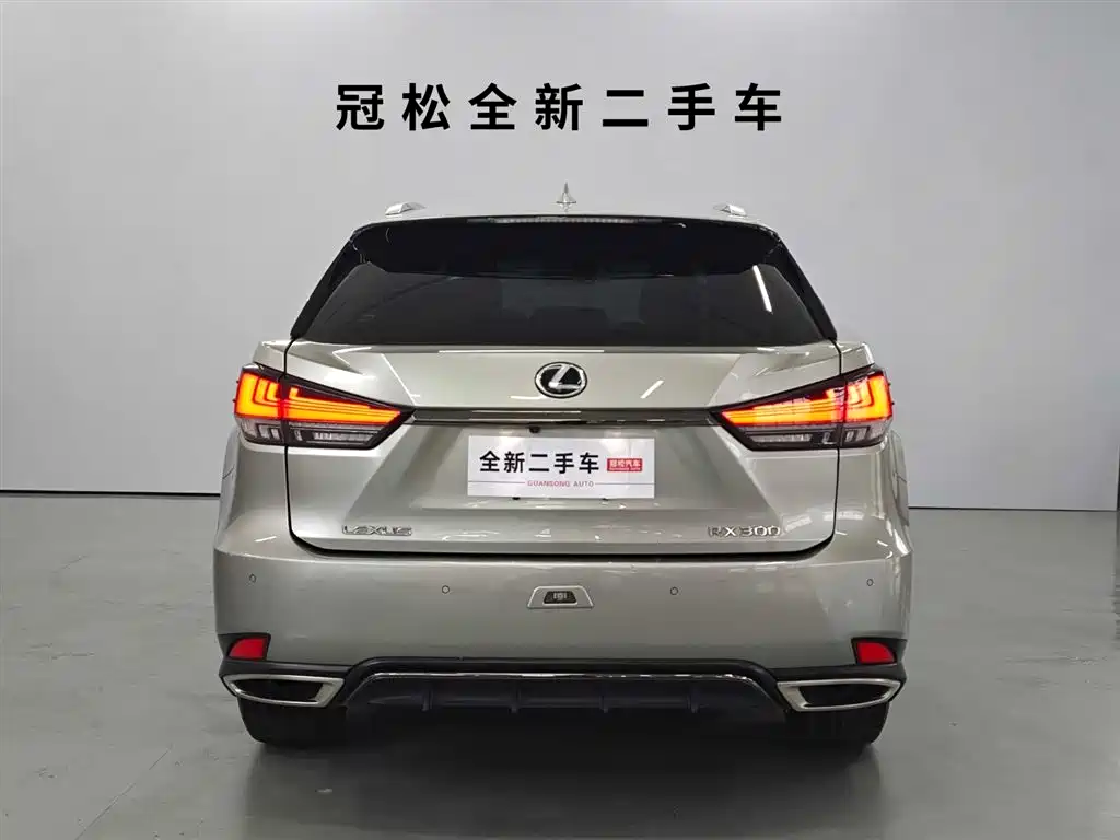 Lexus RX 300 F Sport AWD 2020