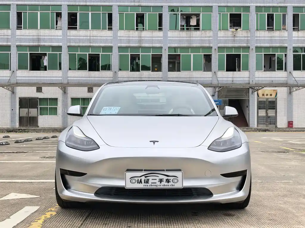 Tesla Model 3 2021 Standard Range Plus Rear-Wheel Drive 3D6