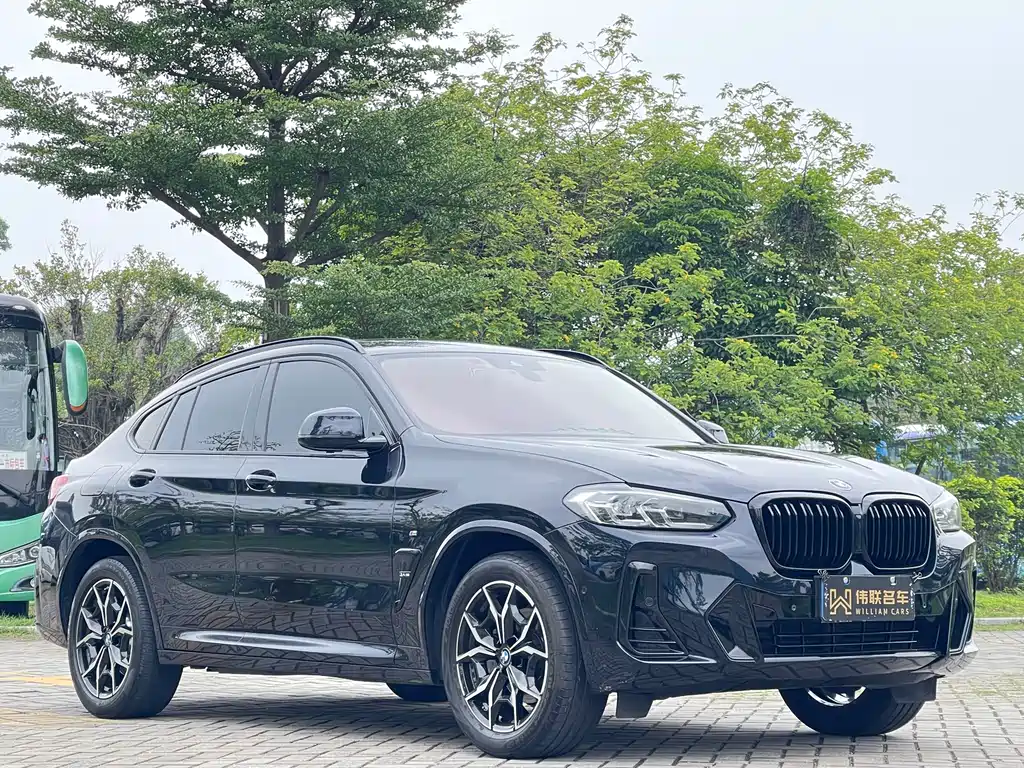 BMW X4 2022 xDrive 25i M Sport Package