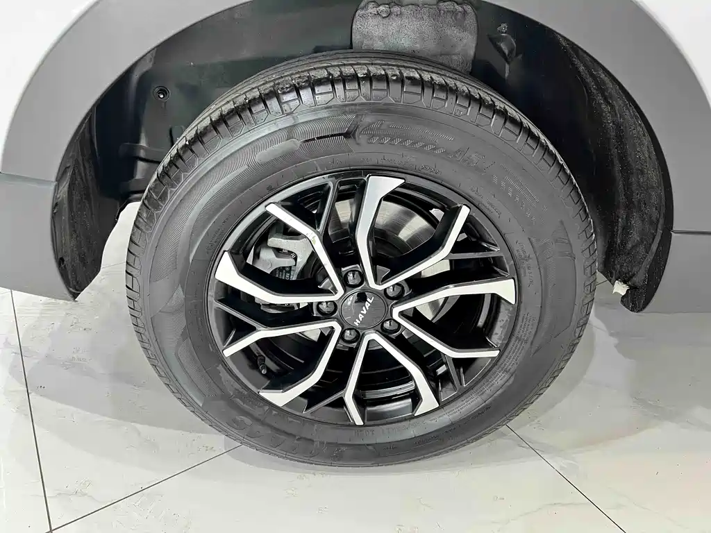Haval H6 2023 Guochao Edition 1.5T Automatic Urban Edition