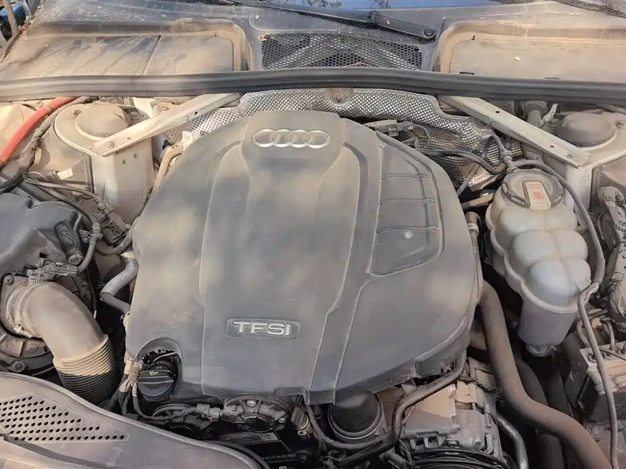 Audi A4L 2020 40 TFSI Luxury Dynamic Edition