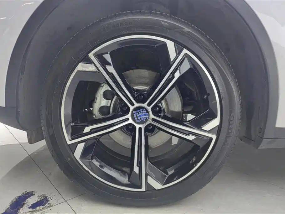 BYD Tang DM-i 2021 112KM Premium