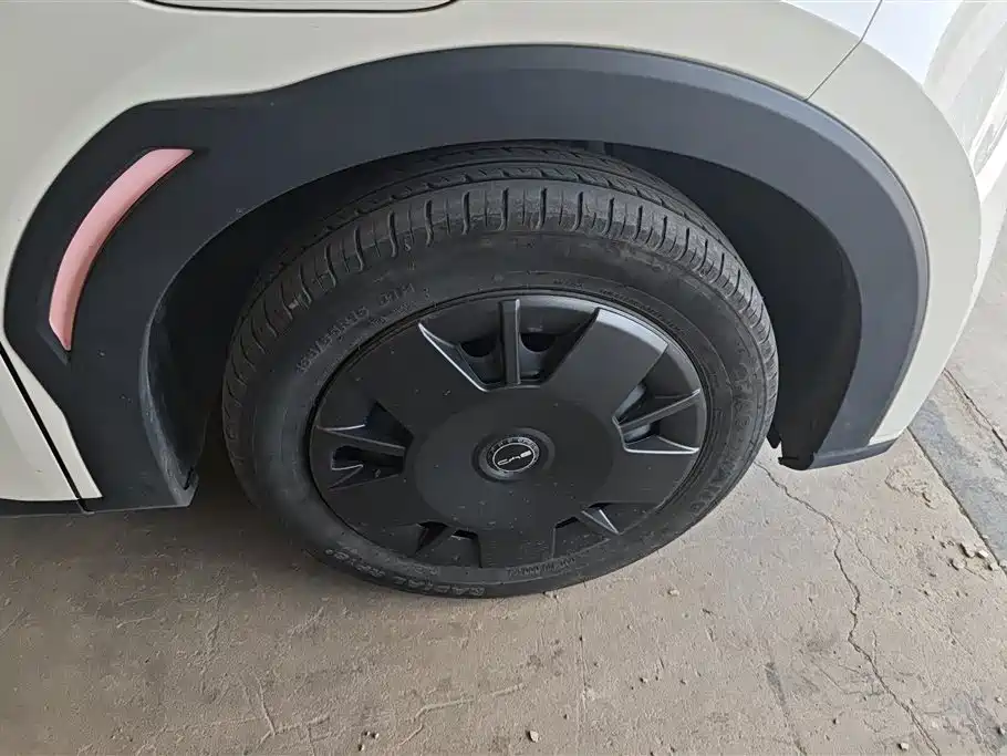 BYD Seagull 2023 Vitality Edition