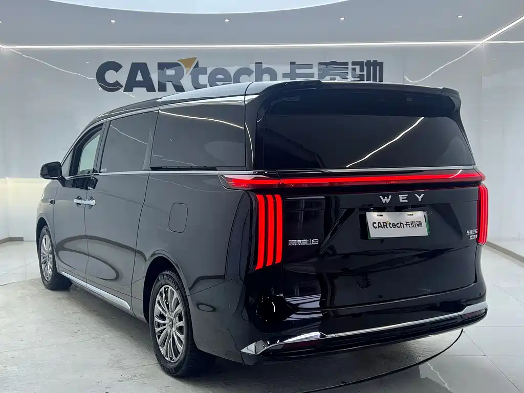 WEY Gaoshan 2025 AWD Gaoshan 9