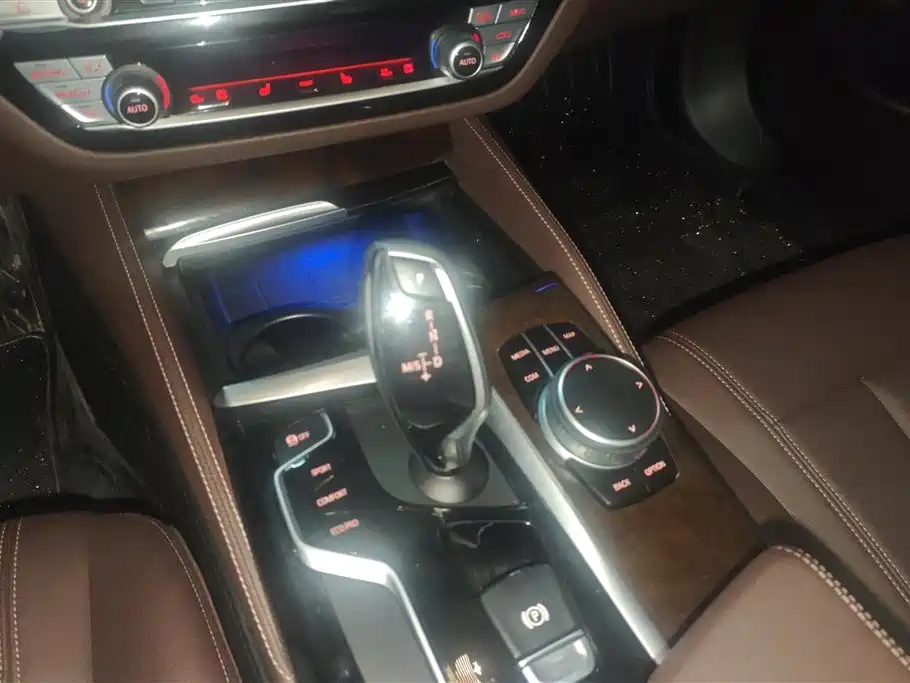 BMW 5 Series 2020 525Li Luxury Package - фото 16
