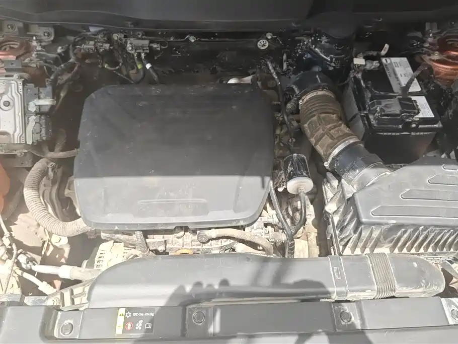 Haval Big Dog 2022 1.5T DCT 2WD Border Collie Edition