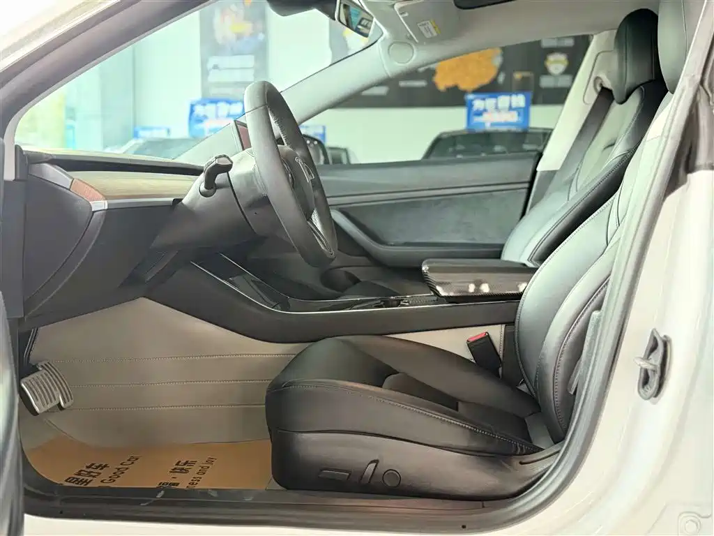 Model 3 2019 Standard Range Plus RWD